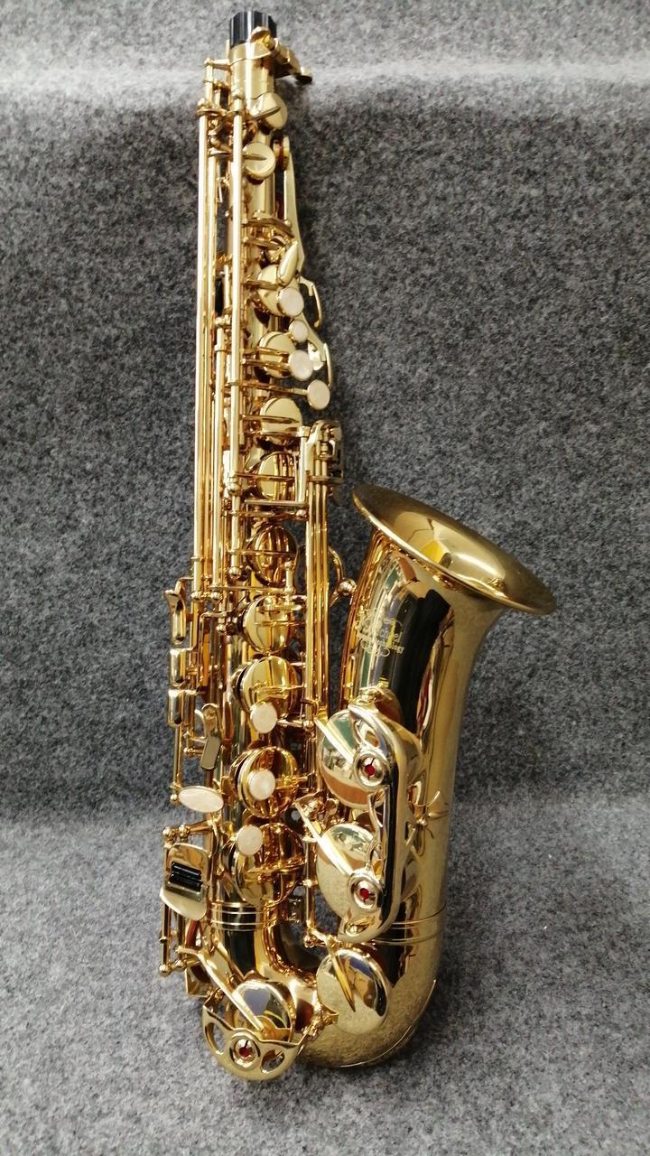 J.Michael Alto Saxophone Good Condition